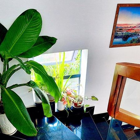 Sena Home 4Th-Rooftop Overlooking Danang Dragon Bridge Extérieur photo